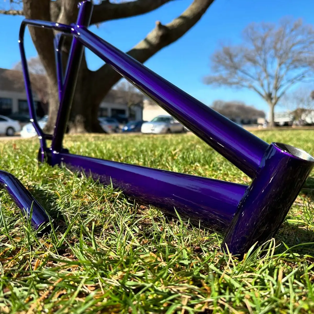 Bicycle frame powder coated Illusion Purple