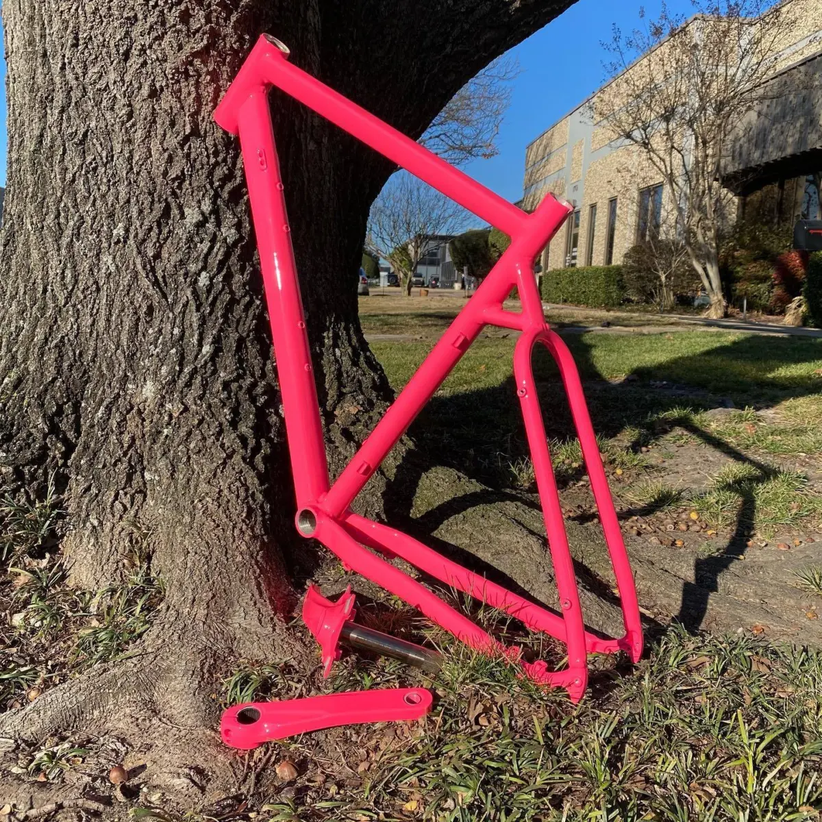 Bicycle refinished in Sassy Pink with High Gloss Clear