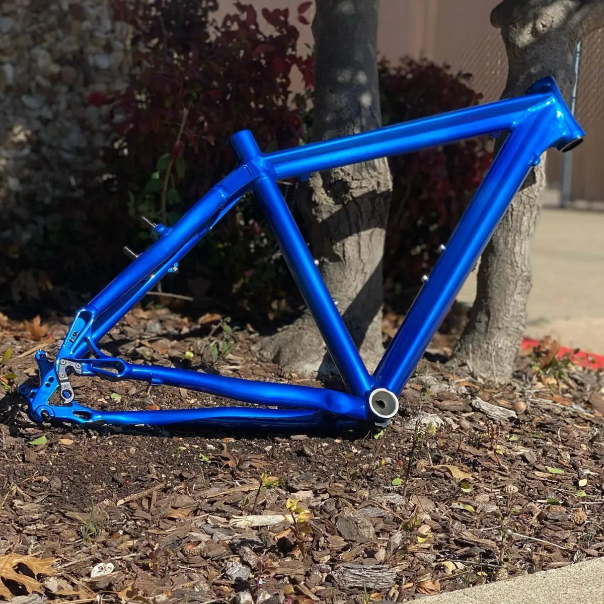 Bicycle frame refinished in Peeka Blue
