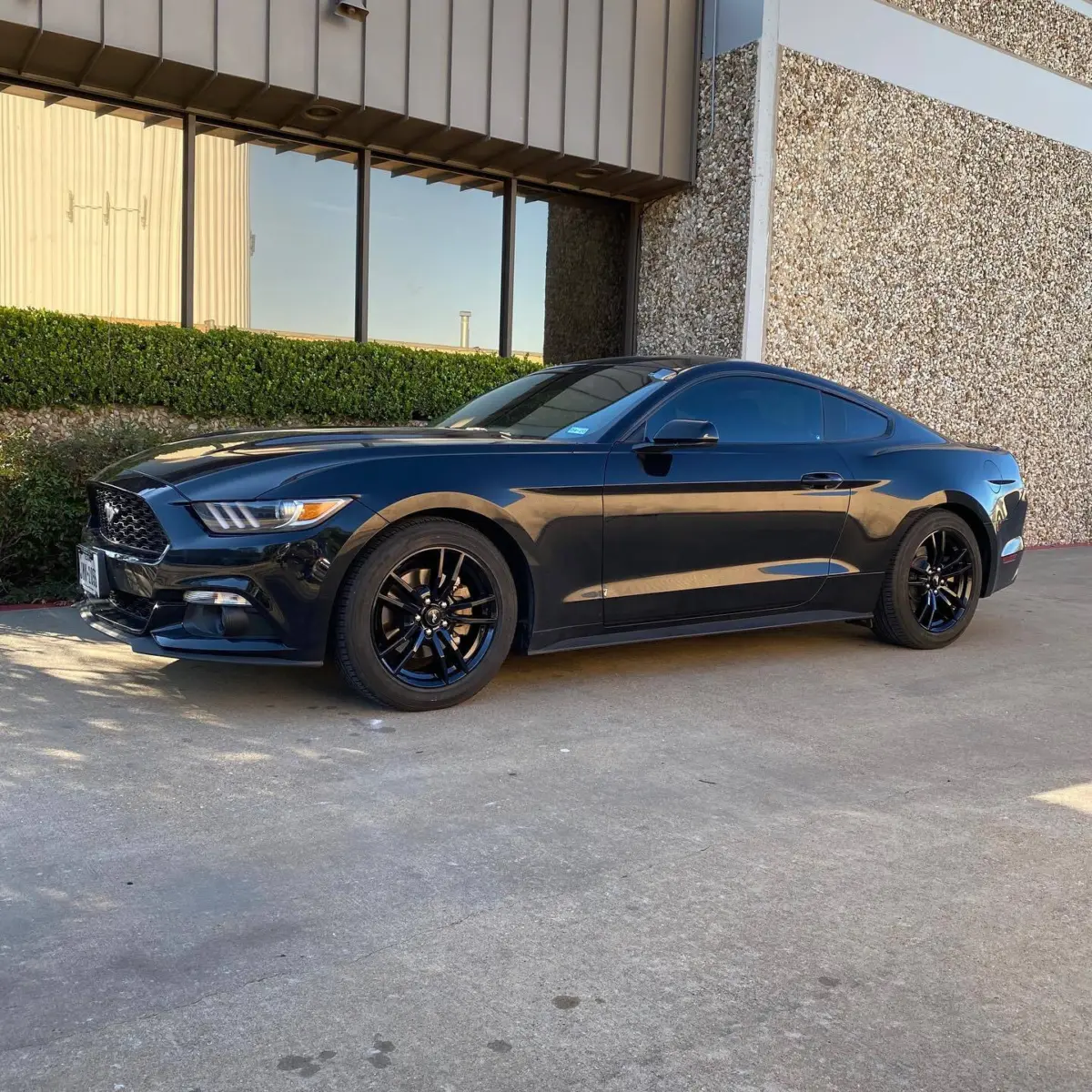 2018 Ford Mustang wheels refinished in Wet Black
