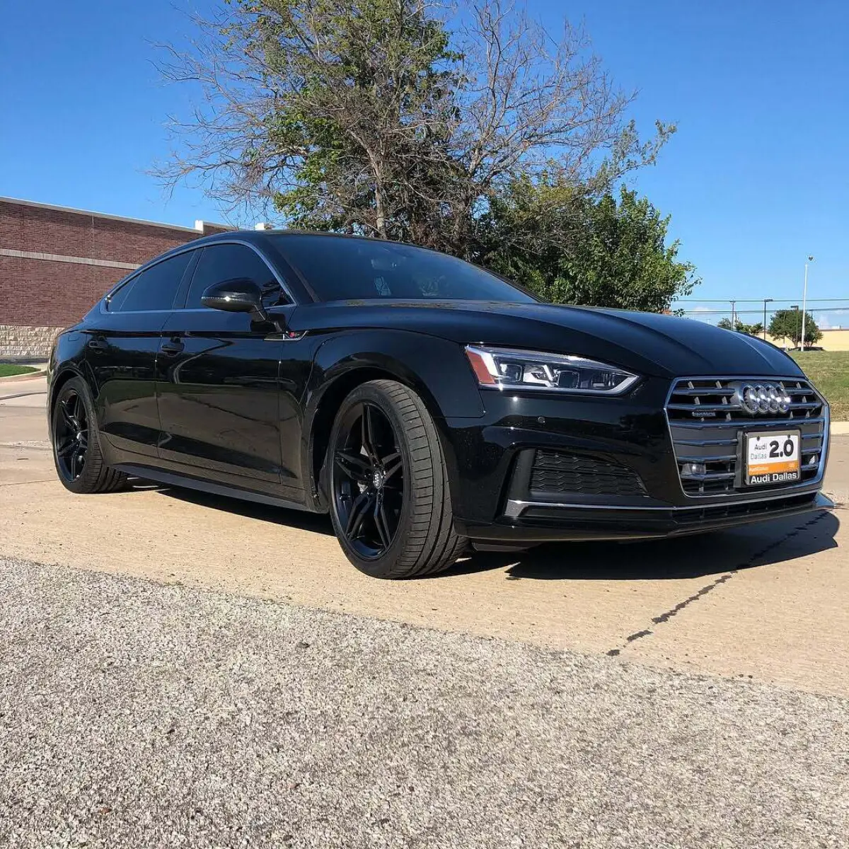 Audi A5 wheels powder coating Semigloss Black