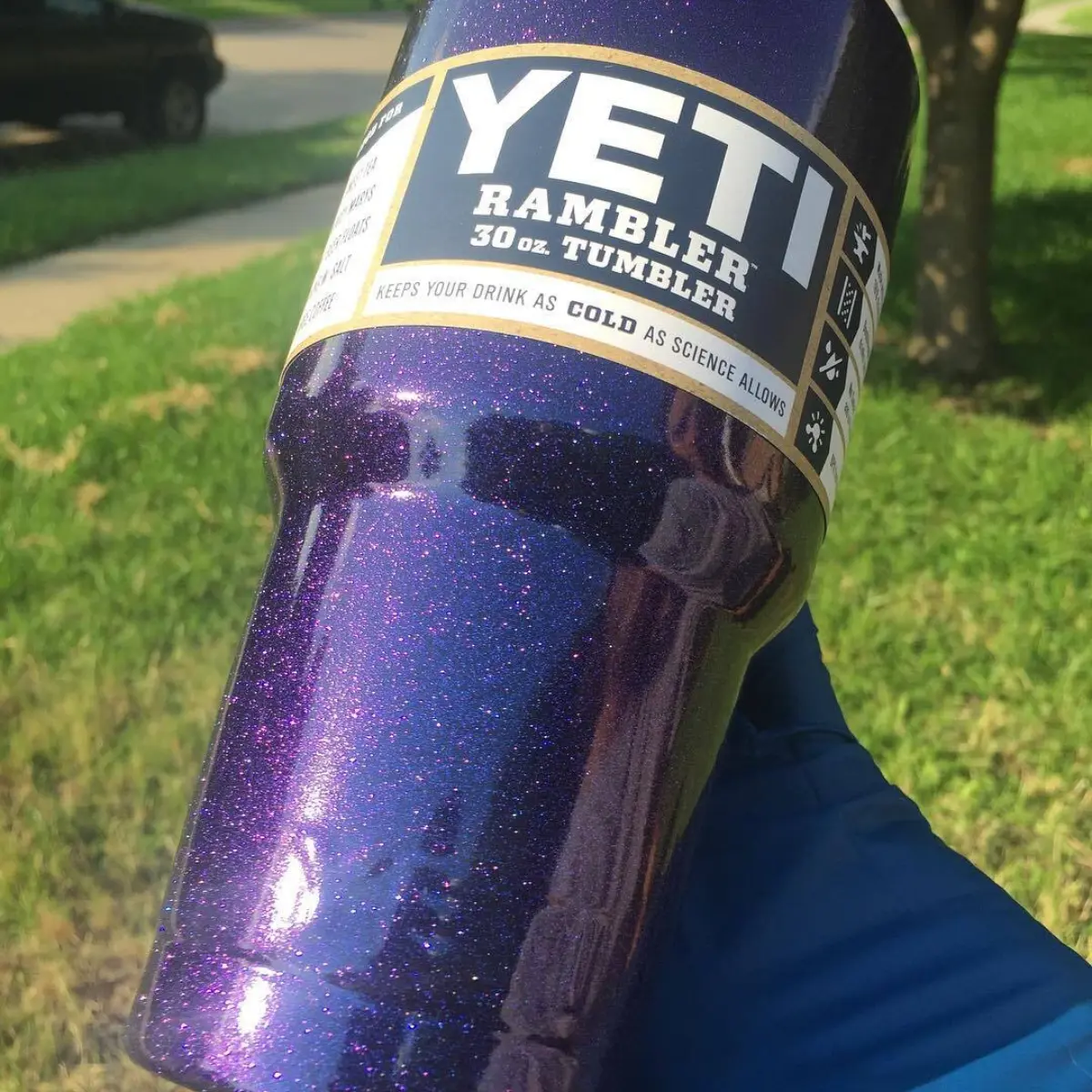 30oz Yeti in Chameleon Violet
