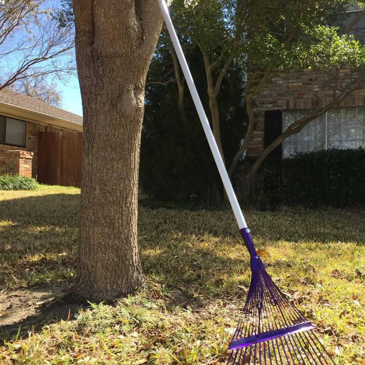 Now that's a rake